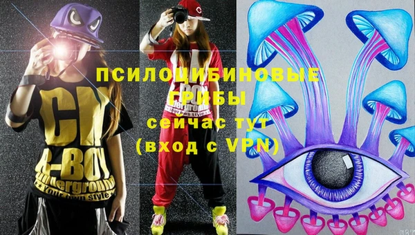 тгк Алзамай