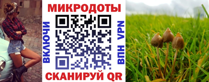 цены наркотик  Николаевск-на-Амуре  Галлюциногенные грибы Psilocybine cubensis 
